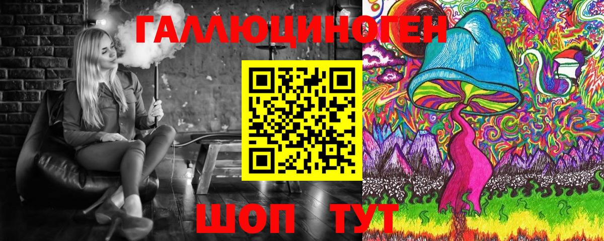 Галлюциногенные грибы GOLDEN TEACHER  как найти закладки  Будённовск  Галлюциногенные грибы GOLDEN TEACHER 