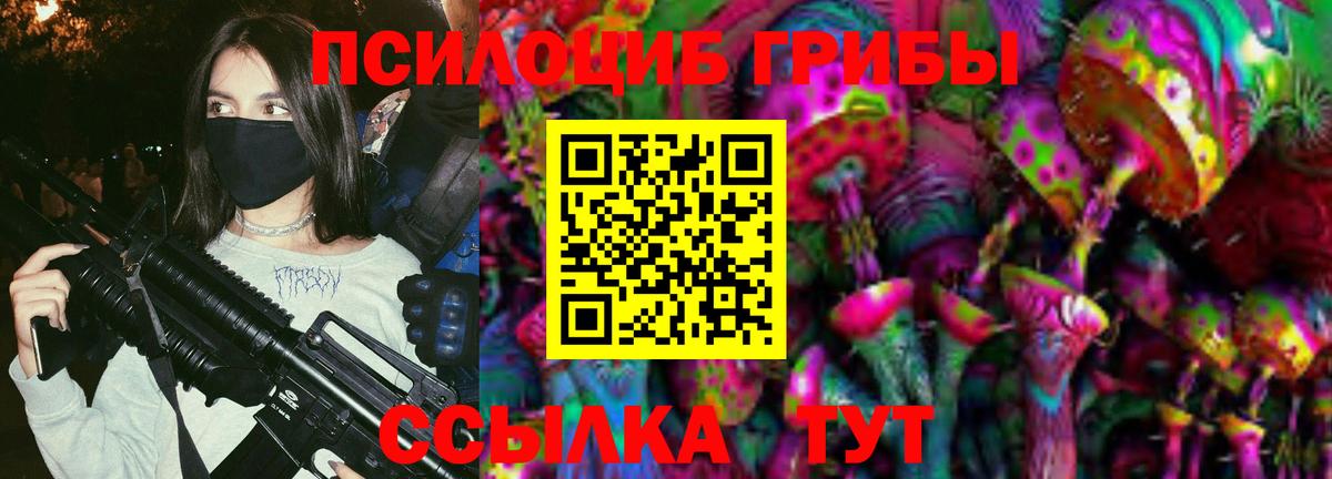Галлюциногенные грибы Cubensis  дарнет шоп  Будённовск 