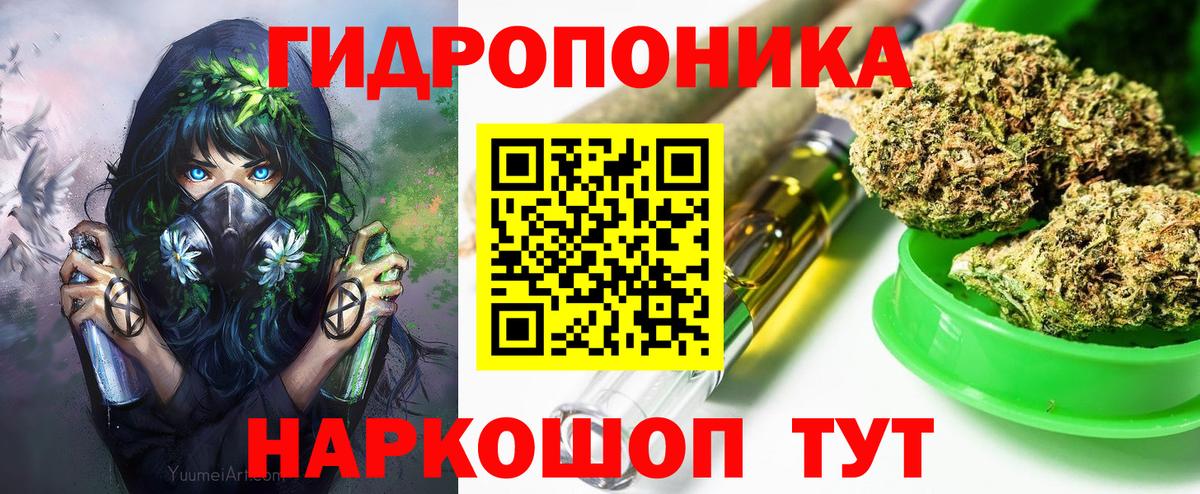 Канабис ГИДРОПОН  Будённовск  Марихуана Bruce Banner  Конопля планчик 